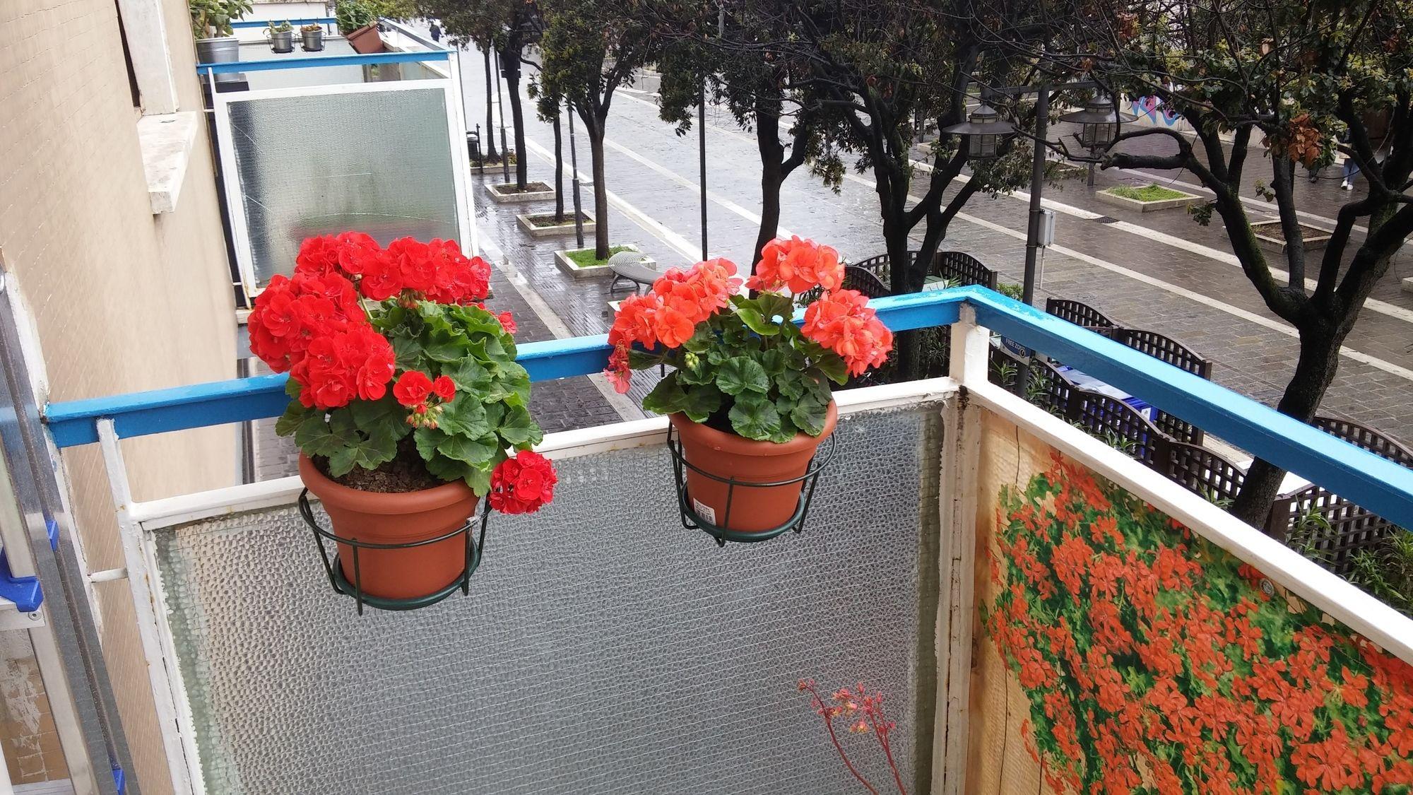 Elisir B & B Пескара Экстерьер фото